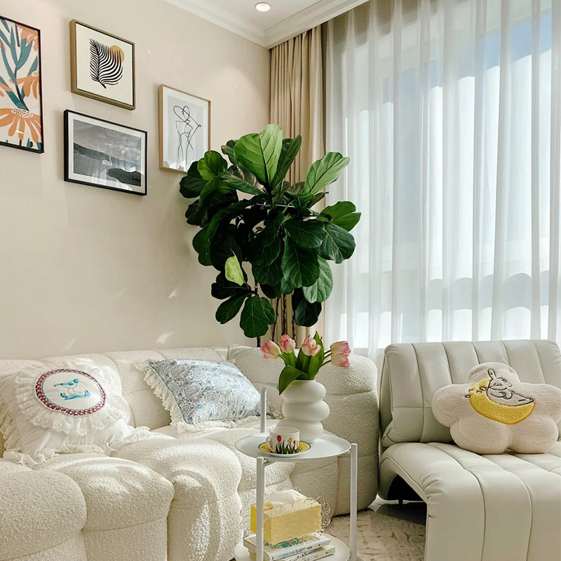 Apakah Kelebihan Dan Kelemahan Lumpur Diatom?